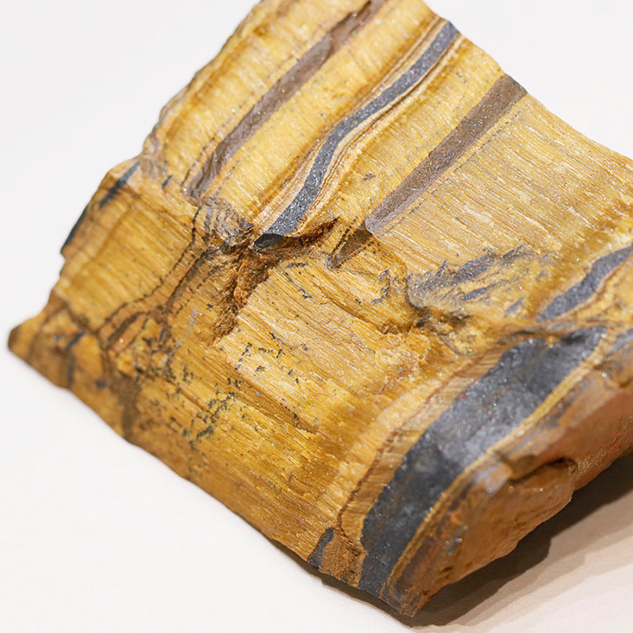 天然 丁子茶 - PIGMENT TOKYO