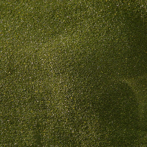 新岩 鶯 - PIGMENT TOKYO