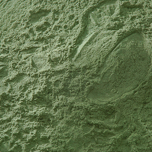 天然 濃口焼緑青 - PIGMENT TOKYO