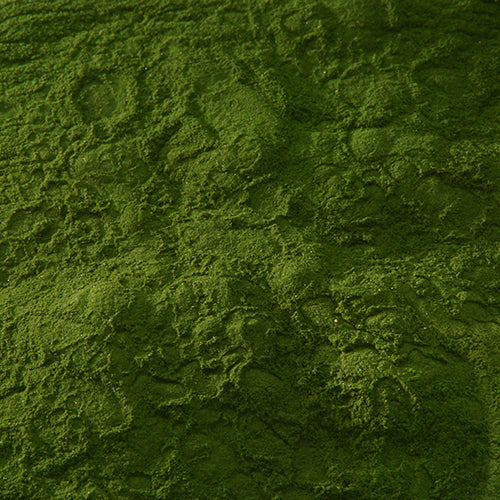 新岩 古代緑青 - PIGMENT TOKYO