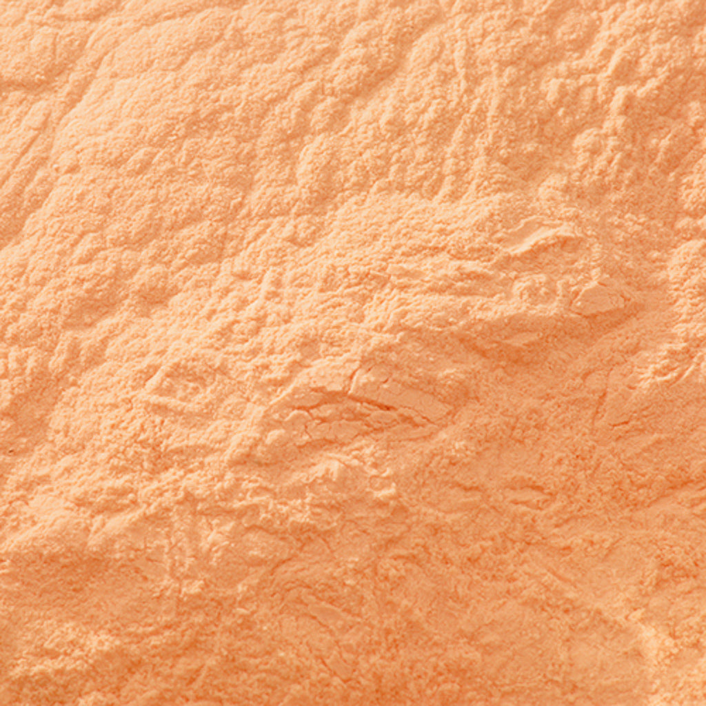 天然 濃口珊瑚末 - PIGMENT TOKYO