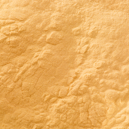 天然 岩黄土 - PIGMENT TOKYO