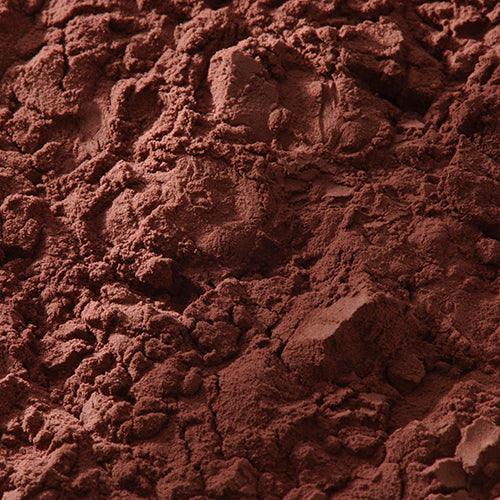 京上 紫金末 - PIGMENT TOKYO