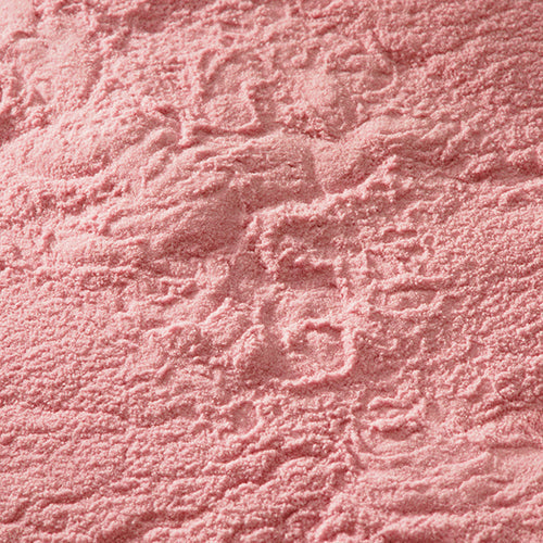 京上 藤袴 - PIGMENT TOKYO