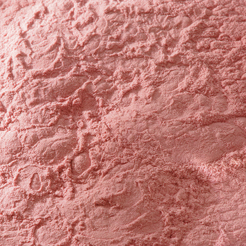 新岩 岩桃 - PIGMENT TOKYO