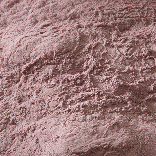 新岩 淡口紫 - PIGMENT TOKYO