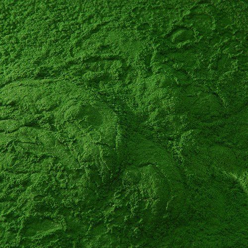新岩 青口草緑 - PIGMENT TOKYO