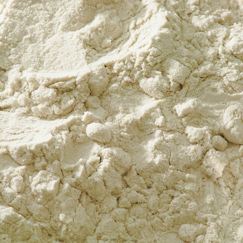 天然 盛上 - PIGMENT TOKYO