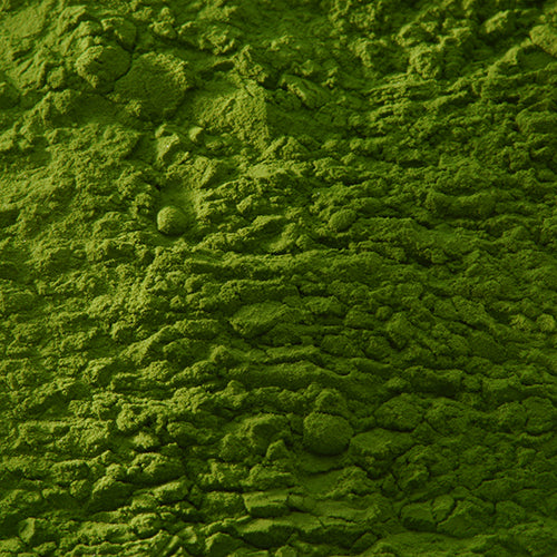 新岩 古代緑青 - PIGMENT TOKYO