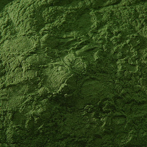新岩 焼緑青 - PIGMENT TOKYO