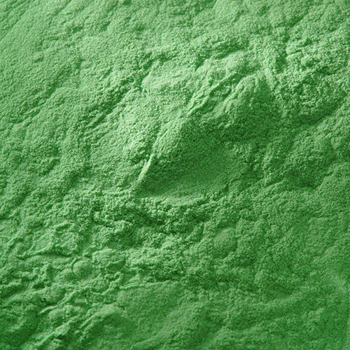 京上 黄口緑青 - PIGMENT TOKYO