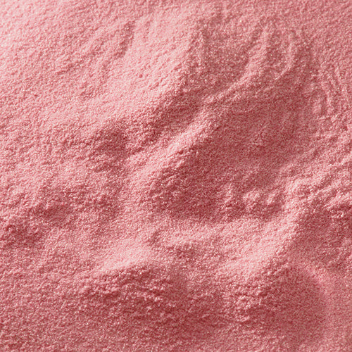 京上 藤袴 - PIGMENT TOKYO