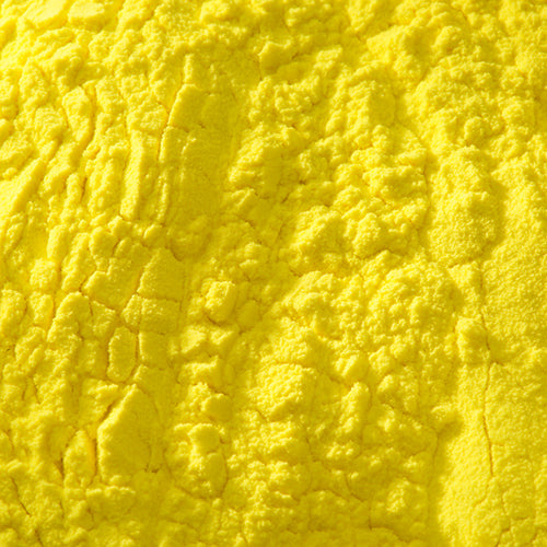 京上 カナリア黄 - PIGMENT TOKYO