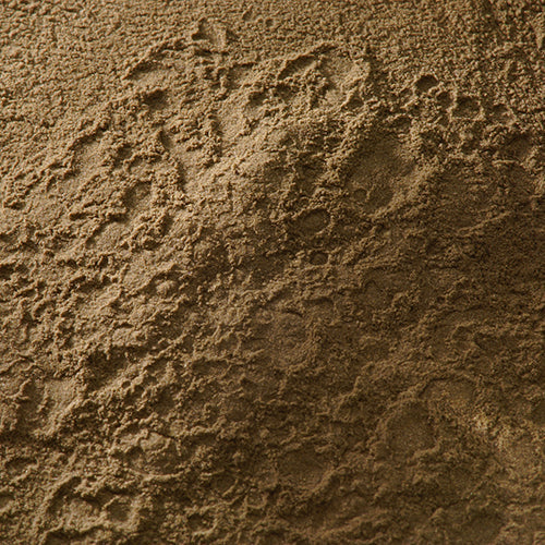 天然 岩焦茶 - PIGMENT TOKYO