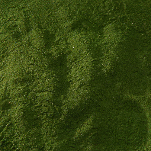 新岩 古代緑青 - PIGMENT TOKYO