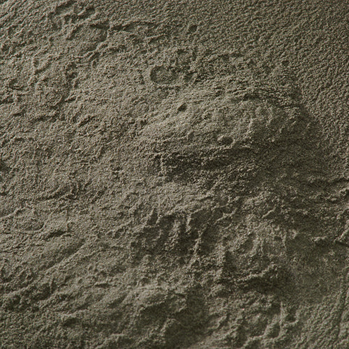 天然 黒口鼠 - PIGMENT TOKYO