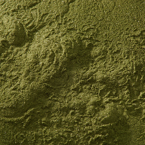 天然 杉葉色 - PIGMENT TOKYO