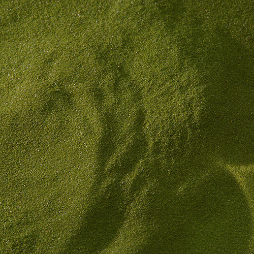 新岩 鶯 - PIGMENT TOKYO