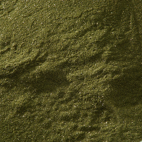 天然 杉葉色 - PIGMENT TOKYO