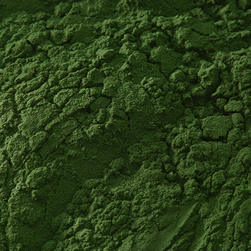 新岩 焼緑青 - PIGMENT TOKYO