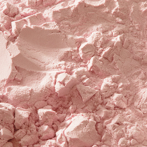 京上 藤袴 - PIGMENT TOKYO