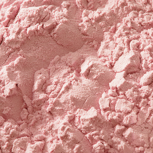 京上 藤袴 - PIGMENT TOKYO