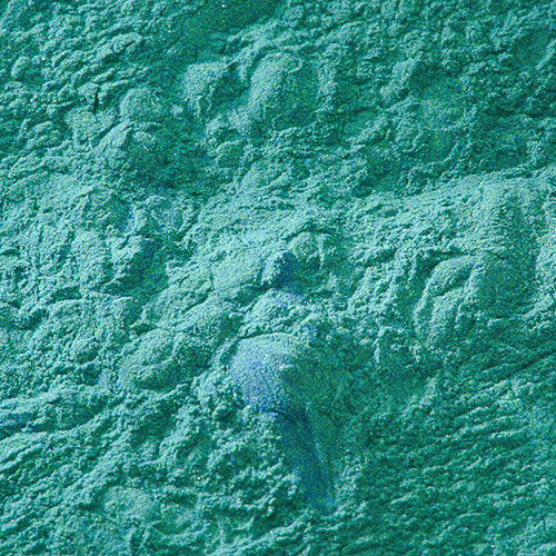 天然 群緑 - PIGMENT TOKYO