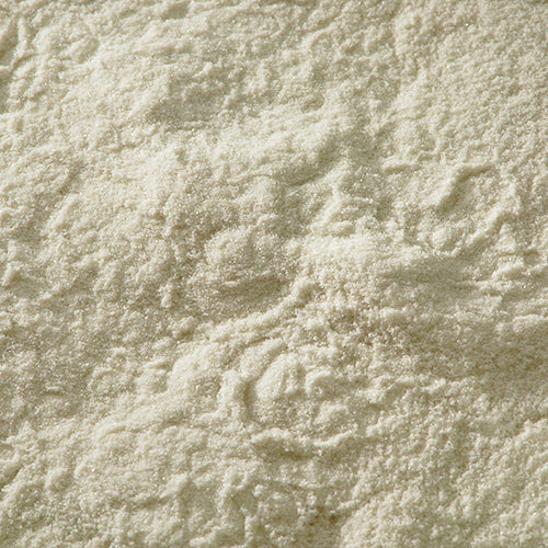 天然 盛上 - PIGMENT TOKYO