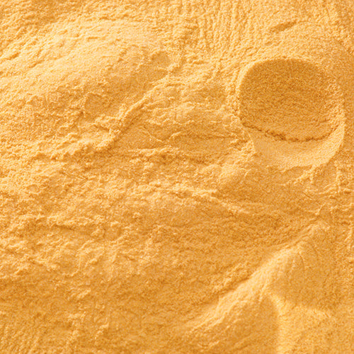 天然 岩黄土 - PIGMENT TOKYO