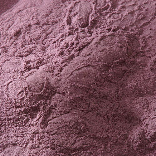 新岩 岩紫 - PIGMENT TOKYO