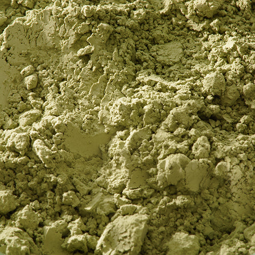 天然 杉葉色 - PIGMENT TOKYO