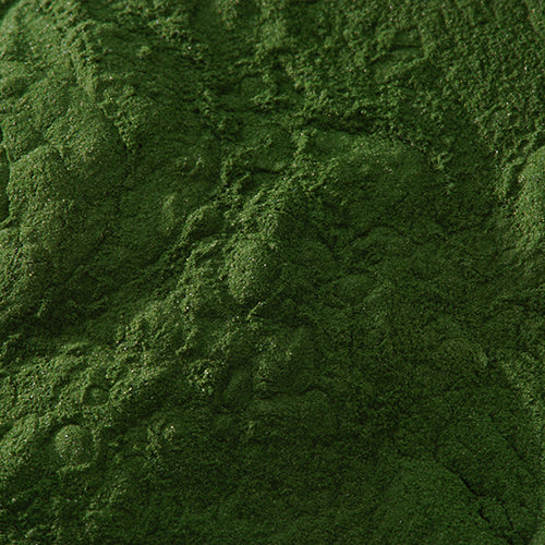 新岩 焼緑青 - PIGMENT TOKYO