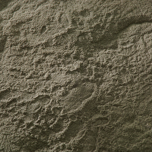 天然 黒口鼠 - PIGMENT TOKYO