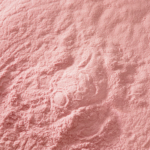 京上 藤袴 - PIGMENT TOKYO