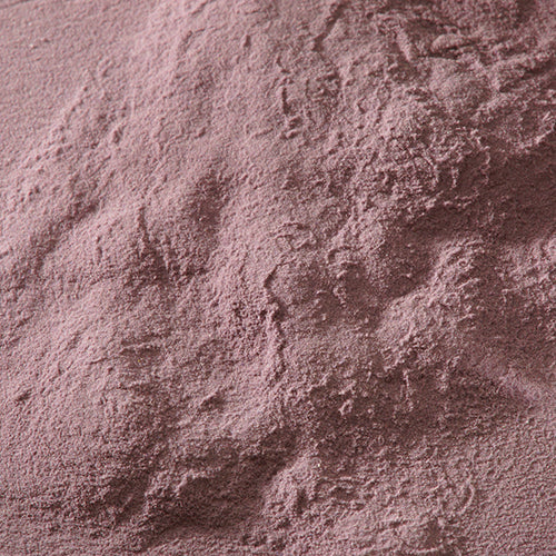 新岩 淡口紫 - PIGMENT TOKYO