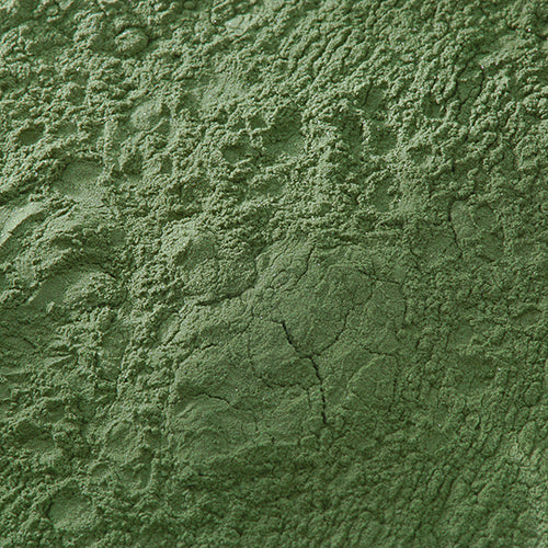 天然 濃口焼緑青 - PIGMENT TOKYO