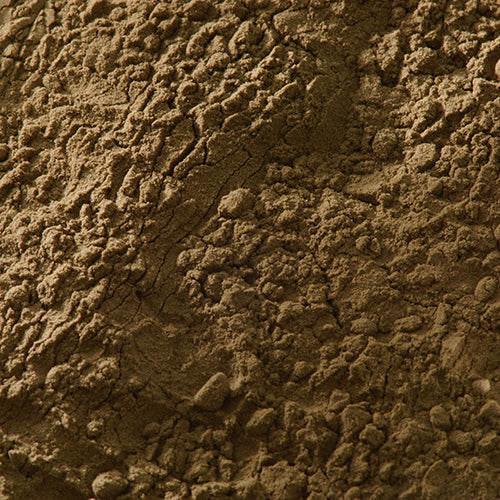 天然 岩焦茶 - PIGMENT TOKYO