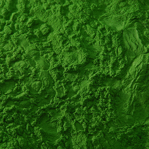 新岩 青口草緑 - PIGMENT TOKYO