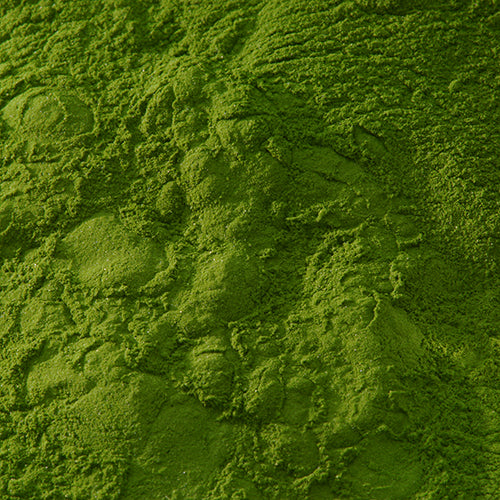 新岩 鶯緑青 - PIGMENT TOKYO