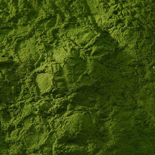 新岩 古代緑青 - PIGMENT TOKYO