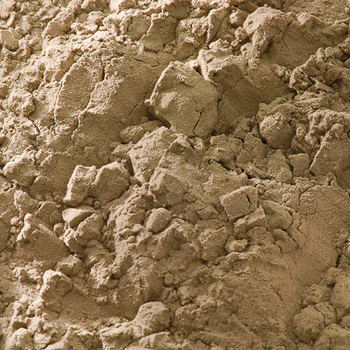 天然 素鼠 - PIGMENT TOKYO