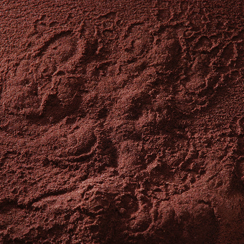 京上 紫金末 - PIGMENT TOKYO