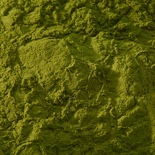 新岩 錆緑青 - PIGMENT TOKYO