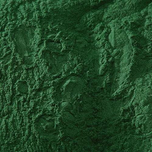新岩 黒緑青 - PIGMENT TOKYO