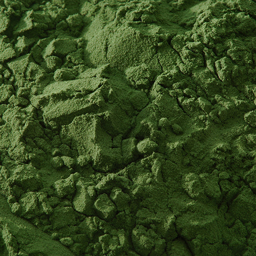 新岩 焼緑青 - PIGMENT TOKYO