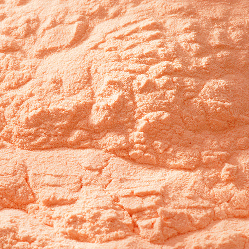 京上 珊瑚 - PIGMENT TOKYO