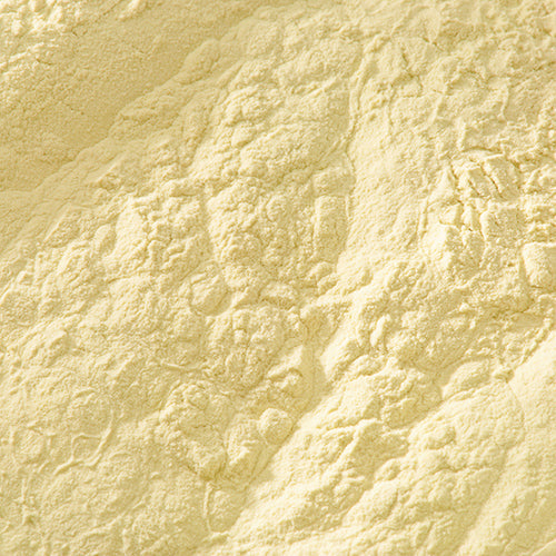 天然 柳葉裏 - PIGMENT TOKYO