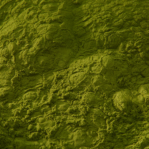 新岩 鶯 - PIGMENT TOKYO