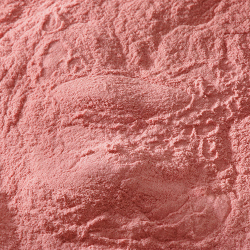 新岩 岩桃 - PIGMENT TOKYO