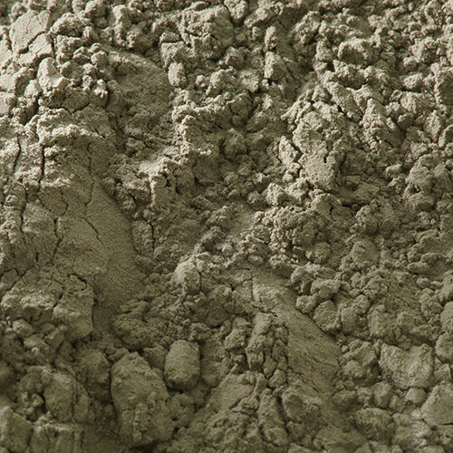 天然 黒口鼠 - PIGMENT TOKYO